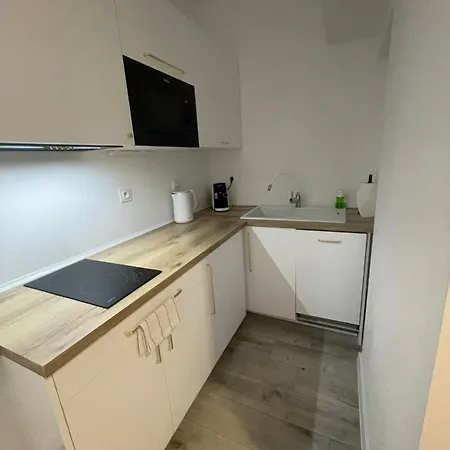 Nikifor Apartamenty Krynica-Zdroj Exterior photo