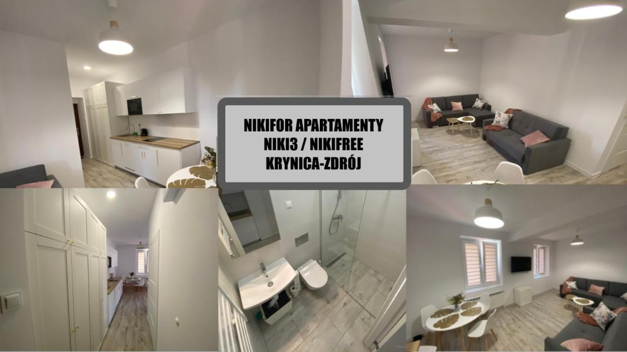 Nikifor Krynica-zdroj Apartment